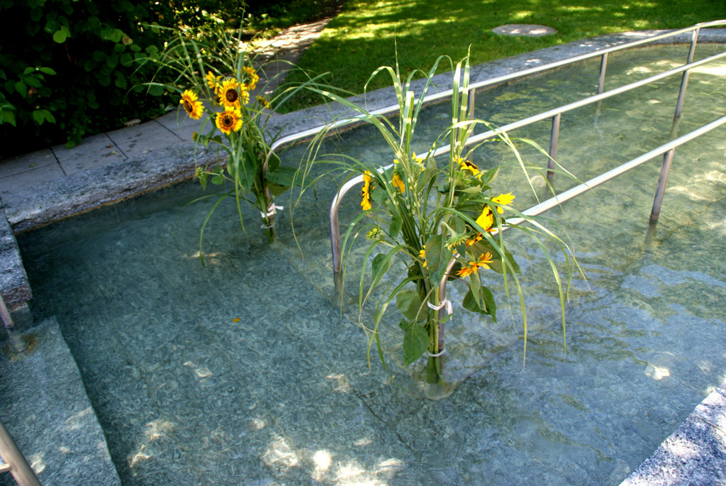 Die G__tzner Wassertrete.JPG