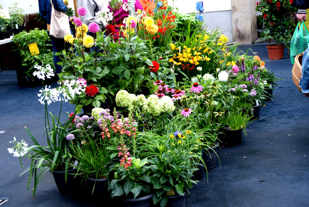 # Titelbild _094_.JPG