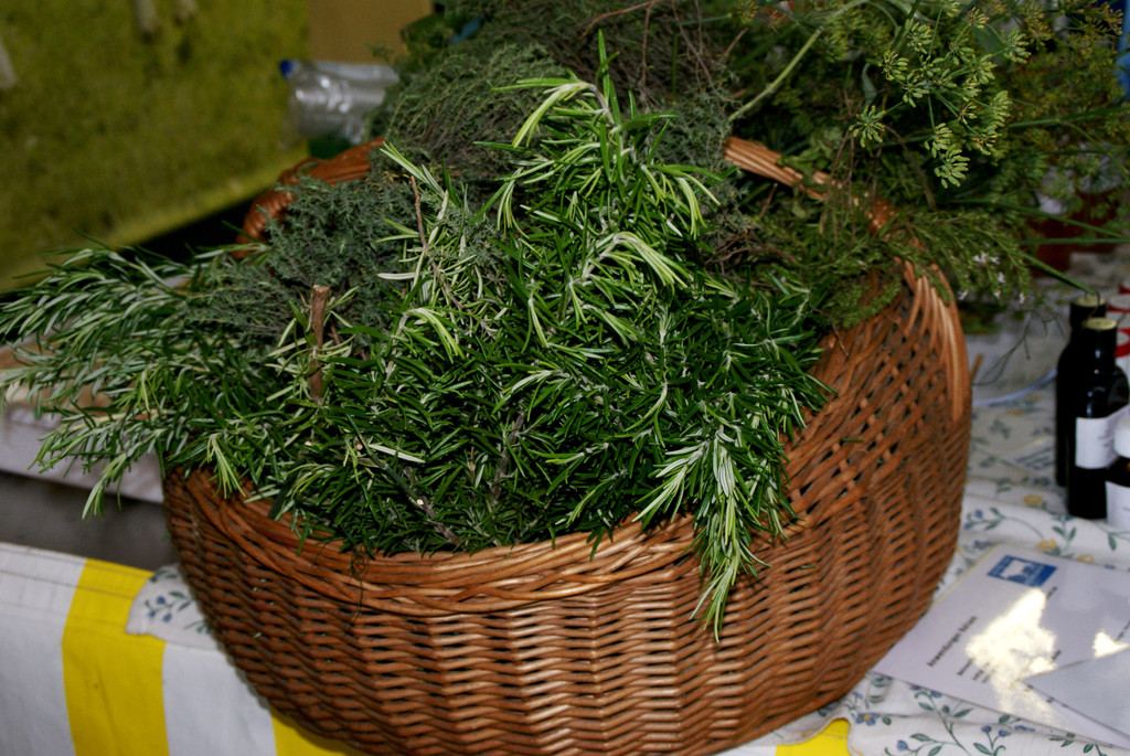 Rosmarin_ Thymian_ Dill und Salbei_ frische Kr__uter beim Eichelehof.JPG