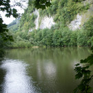 Ein Weiher mitten im Augarten