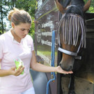 Annika und "Shiva"