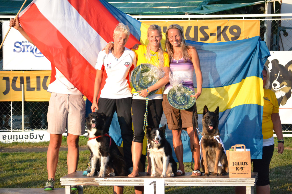 titel lisa ffrick.JPG