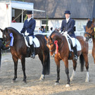 Dressurturnier in Bregenz