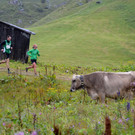 12. Lecher Höhenhalbmarathon