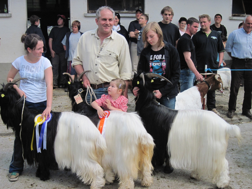 IMG_0011_jpg-1272395579