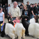 Oberländer Ziegenausstellung Ludesch