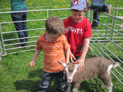 IMG_0003_jpg-1272395701