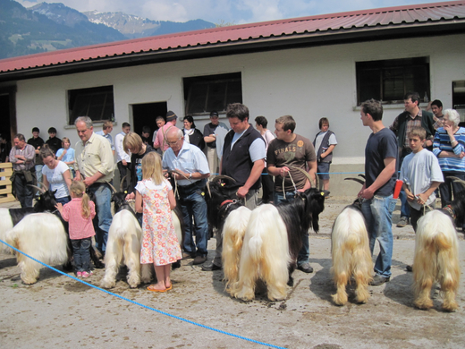 IMG_0008_jpg-1272395822