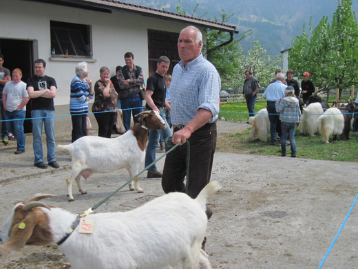 IMG_0012_jpg-1272395948