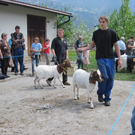 IMG_0013_jpg-1272396054
