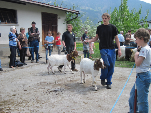 IMG_0013_jpg-1272396054