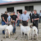 IMG_0015_jpg-1272396156