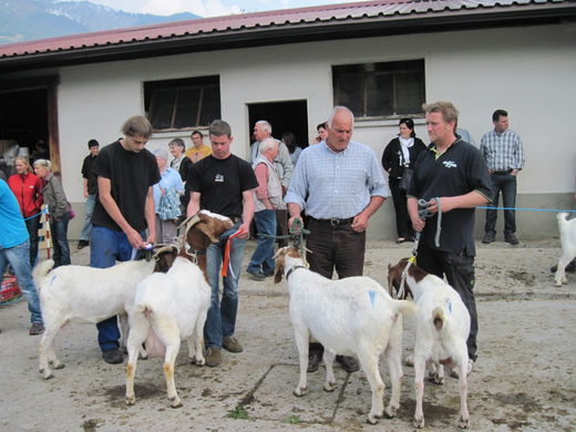 IMG_0015_jpg-1272396156