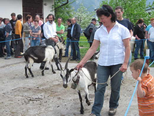 IMG_0020_jpg-1272396415