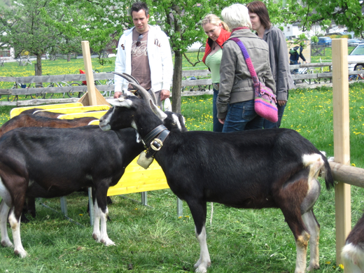 IMG_0023_jpg-1272396546