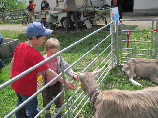 IMG_0029_jpg-1272396868