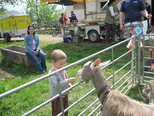 IMG_0030_jpg-1272396982