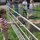 IMG_0032_jpg-1272397121