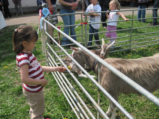 IMG_0032_jpg-1272397121