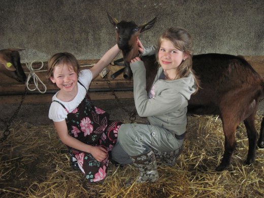 Ziegen1_jpg-1272397259