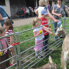 Kinder Ziegen_jpg-1272397481