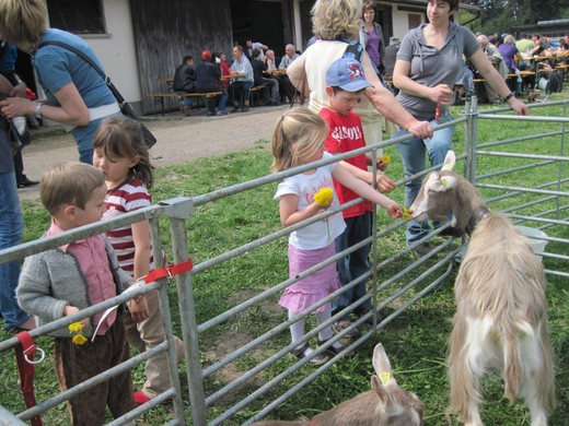 Kinder Ziegen_jpg-1272397481