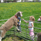 Zieg_Kind_jpg-1272397631