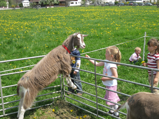 Zieg_Kind_jpg-1272397631