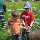 IMG_0001_jpg-1272397754