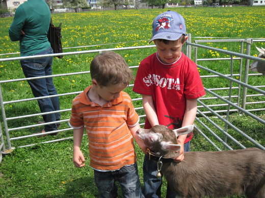 IMG_0001_jpg-1272397754