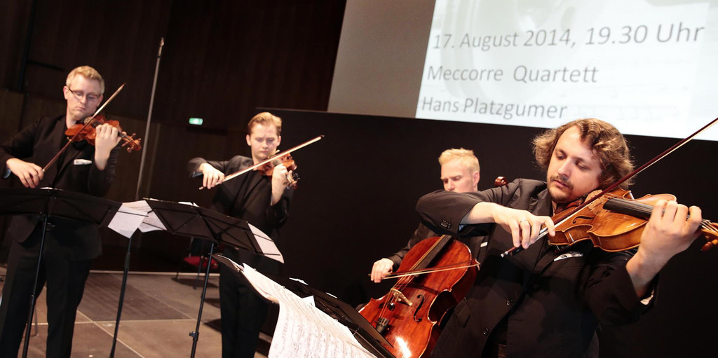 musikpoesie14020035 _1_.jpg