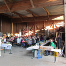 IMG_7395.JPG