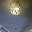 ABD0008-20140821.jpg