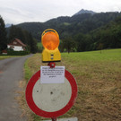 Aktuelle Straßensperre Felsenau