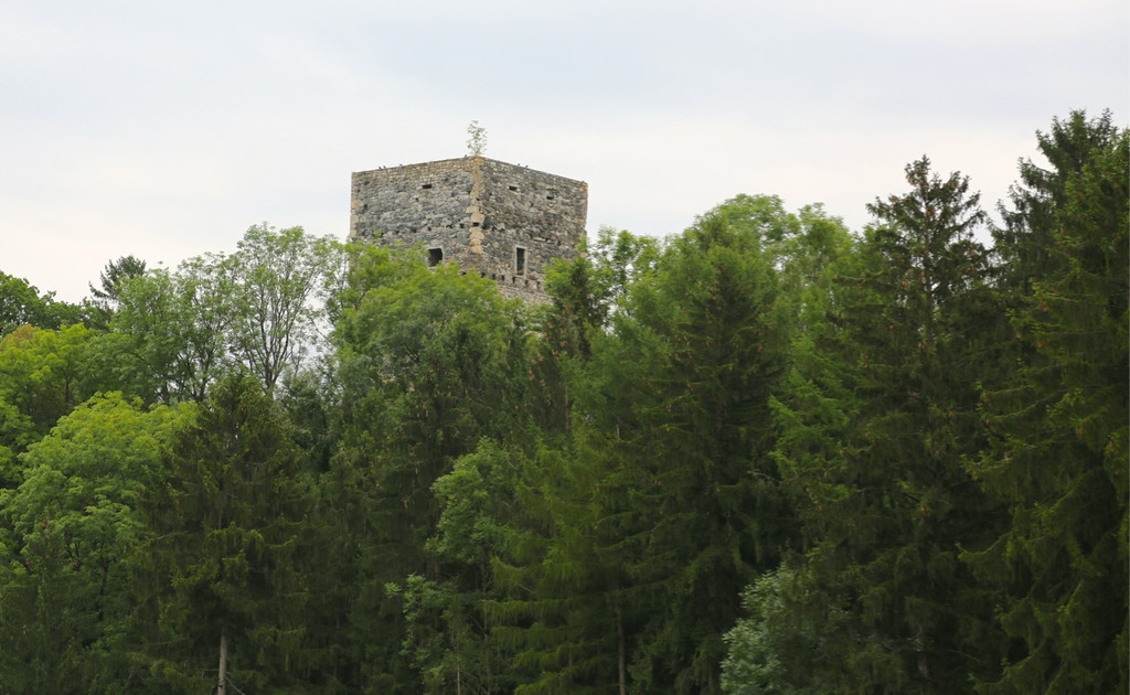 KOE_Tostner Burg Ausgrabungen 40.jpg