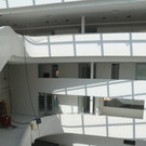 IMG_6237.JPG