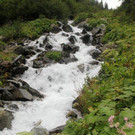 IMG_8724A.jpg