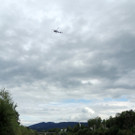 DSCN7982.jpg