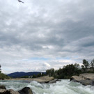 DSCN7983.jpg