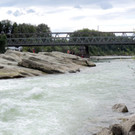 DSCN7984.jpg
