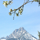 KOE-Kanalisation Amerl__gen 27_jpg-1272454519
