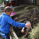 IMG_8274.JPG
