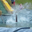 DSC_8275.JPG