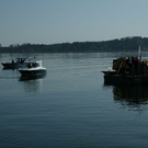 normal_28042010cheimseerlffaktivnews_008.jpg