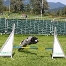 IMG_4742.JPG