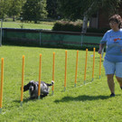 IMG_4753.JPG