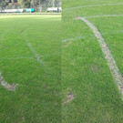 Wolfurt_FC-Platz_Autospuren05.jpg