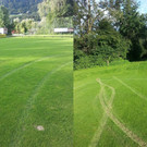 Wolfurt_FC-Platz_Autospuren06.jpg