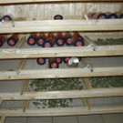 25_08_2014 - PI Bad Pirawarth_ Foto 2.jpg