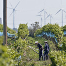 ABD0012-20140825.jpg